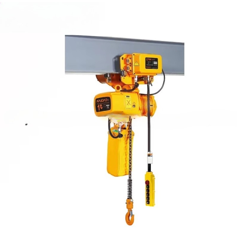 Dual Speed Electric Chain Hois - Heavy Equipment Electrical 리뷰 및 가격