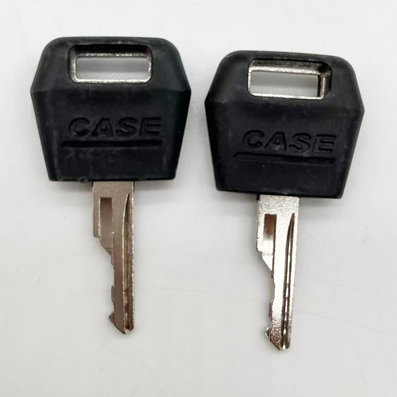 10Pcs high quality ignition D2 - Heavy Equipment Key Set 리뷰 및 가격