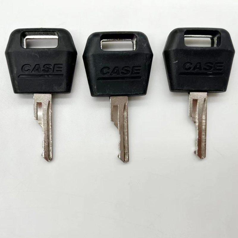 10Pcs high quality ignition D2 - Heavy Equipment Key Set 리뷰 및 가격